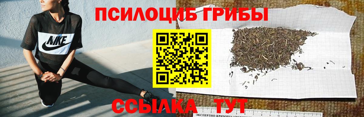 Киров  Псилоцибиновые грибы прущие грибы  где продают   Вход с VPN 