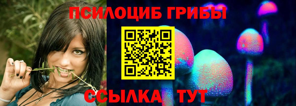 Псилоцибиновые грибы MAGIC MUSHROOMS Киров
